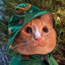 Stream Janice Laureano music