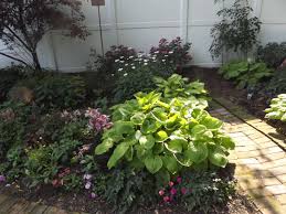 After planting them you will enjoy them year after year. How To Plan A Perennial Flower Garden Dengarden