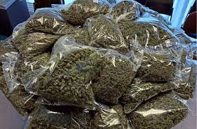 Algunas personas fuman marihuana en cigarrillos arrollados llamados porros; Festnahme In Stuttgart Vier Dealer Mit 42 Kilo Marihuana Gefasst Stuttgart Stuttgarter Nachrichten