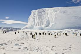 Maybe you would like to learn more about one of these? Antarctica Facts For Kids Geography Continents Facts For Kids