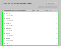 How to Manually Check Cookies in a Web Browser: 4 Easy Ways