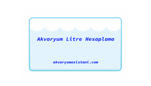 Akvaryum Litre Hesaplama Akvaryum Asistani