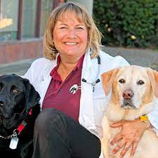 Refugee canyon has been providing quality veterinary health care, grooming, and boarding services to their community. Bollinger Canyon Animal Hospital San Ramon Ca Localwise