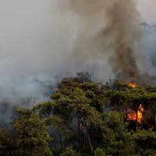 At least 38 of these fires have been brought under control already. B W1c9pbig Qwm