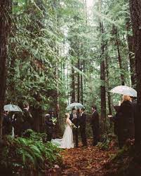 This Intimate Mini Wedding In The Forest Happened Today Pc Picturemarvelous Florals Chloen Forest Wedding Forest Wedding Venue Washington Wedding Venues