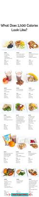What Does 2 500 Calories Look Like Use This Handy Visual Guide To See A Days Worth Of Meals Breakfast Snack Lunch Diet Loss Week Diet Plan 500 Calories