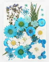 Free shipping for many products! Natural Dried Flowers Combination Diy Pressed Herbarium Flower Decorative For Resin Jewelry Crafts Nail Stickers Buy Pressed Flower Multi Pressed Dried Flower Flower Combination Product On Alibaba Com