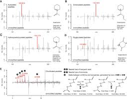 It commonly exists in the natural system, increasing the diversity of protein structure and functions. Proteometools Systematic Characterization Of 21 Post Translational Protein Modifications By Liquid Chromatography Tandem Mass Spectrometry Lc Ms Ms Using Synthetic Peptides Molecular Cellular Proteomics