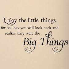 16 Cherish The Small Things In Life Quotes Life Quotes Little Things Quotes Life Quotes To Live By