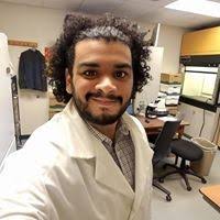 20+ "Bobea" profiles