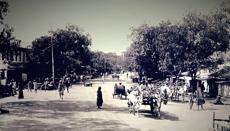 Elephants hauled Indore's first rail engine in 1874
