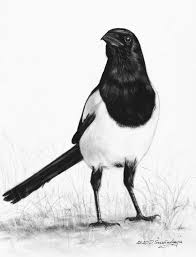 Magpie in the style of old chinese painting. Magpie Animalpaintings Paintings Prints Animals Birds Fish Birds Magpies Artpal