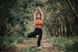 Check spelling or type a new query. Best Upstate Ny Yoga Retreats Yoga In The Catskills