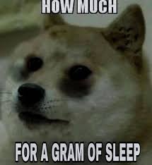 The text, representing a kind of internal monologue, is deliberately written in a form of broken english. Our Turn 2020 S Best Meme