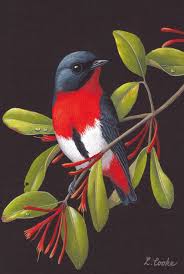 Birds That Sing In The Morning Australia Australian Mistletoe Bird By Lyn Cooke Www Artpublishing Com Au Www Lyncooke Com Birds Painting Colorful Birds Bird