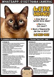 Personal protective equipment provided or required plastic shield at work stations temperature screenings social distancing guidelines in place sanitizing Jawatan Kosong Di Setia Alam Full Time Part Time Jobs Full Time Sales Retail Marketing On Carousell