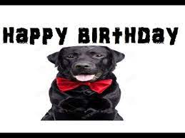 Birthday Greeting Song Black Lab Youtube