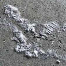 Çünkü zeytinyağı halılara, koltuklara ve en sık olarak üzerimizdeki elbiselere genellikle sıçrayarak benek benek lekesi olurken bazen de d. Beton Temizleme Beton Zemin Nasil Temizlenir