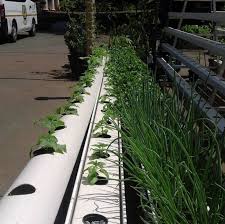Pin On Vertical Farming