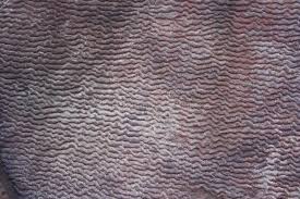 Ripple mark stock photo. Image of sand, mark, ripple