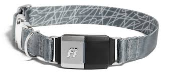 Fi Smart Dog Collar Store Smart Dog Dog Items Dogs