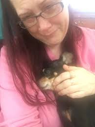 The wife gently told Bailey the dog, “Take care of my daughter.” 🐶👧 She  didn't leave, but Bailey took those words to heart— and protected the  little girl every single day… until