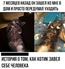 Лучшие в этот день лучшие архив новые / новый блондинки вконтакте вовочка дорога и гаи злободневно пошлые (16+) про армию про врачей компьютерные коронавирус криминал наркоманы национальности S Dnem Kota 2021 Zabavnye Pozdravleniya Smeshnye Kartinki Video Prikoly