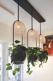 That means they should last for a long time if you choose a reputable manufacturer and a reliable product. Siemon Salazar Indoor Vegetable Gardening Indoor Gardens House Plants Indoor