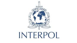 Graphic design elements (ai, eps, svg, pdf,png ). Interpol Logo Mdr Jump