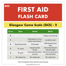 C for eye closure and t for. The Glasgow Coma Scale Gcs For First Aiders First Aid For Free