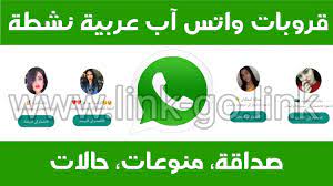 WTS7| أفضل قروبات واتس اب مختلطة (WTS7) متجددة كل يوم – واتساب