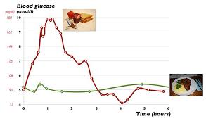 24 Hour Blood Sugar Chart Www Bedowntowndaytona Com