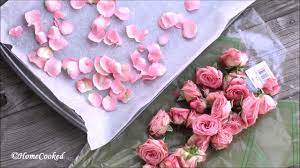 Preserving flowers in silica is a simple way to keep the beauty of fresh flowers all year round. Dried Rose Petals At Home Easy Diy With Oven Without Oven Youtube