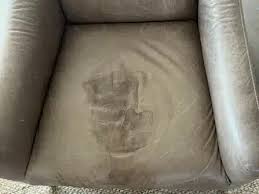 Pet Stains Out Of Leather Upholstery
