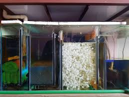 Most diyers use an aquarium for the sump. Installing Freshwater Sump Filter The Best Sump Tank And Pump