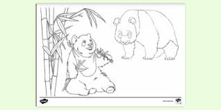 Coloring is an amazing activity for little bears. Panda Colouring Colouring Sheets To Print