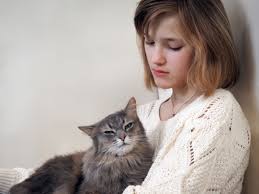 Maybe you would like to learn more about one of these? How Cats Help Us Cope With Grief The Catnip Times