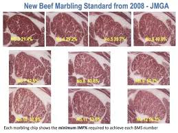 beef how is marbling scored quora