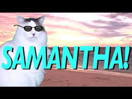 Happy Birthday Samantha Epic Cat Happy Birthday Song Youtube