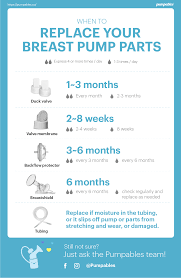 Your Complete Guide To Replacing And Recycling Breast Pump