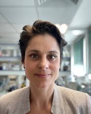 2025 SPRING SCHOOL Neurophysiology in Action: Linking Brain Dynamics to  Behaviour