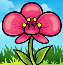 Pin By Rachel L On Kids How To Draw 1 Flower Drawing How To Draw An Orchid Easy Flower Drawings