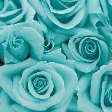 Teal aesthetic wallpaper for mac. Moodbored It S Not Weak To Cry Turquoise Aesthetic Turquoise Aesthetic Aesthetic Collage Mint Green Aesthetic