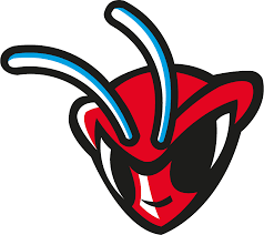 1352 x 1016 png 84kb. Delaware State Hornets Logo Download Vector