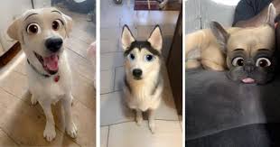 How do i restore my purchases in disney princess palace pets? There Is A Snapchat Filter That Turns Your Dog Into A Disney Cartoon Character And It S The Cutest Thing Disney Cartoon Characters Snapchat Funny Your Dog