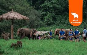 Elephant Nature Park景點自由行及交通攻略