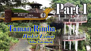 Ia membentuk 37.5 % daripada keseluruhan kawasan malaysia. Tempat Menarik Untuk Dilawati Di Sibu Sarawak Taman Rimba Bukit Lima Part 1 Youtube