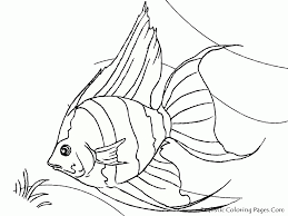 Free coloring pages & printables. Luau Coloring Pages Widetheme Coloring Home