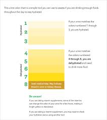 Can You Freeze Your Urine For A Drug Test