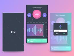 Audio Recorder Audio Live Video App Records